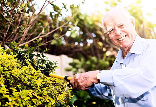 istock Smiling senior keeps fit by clipping his garden hedge 619397928