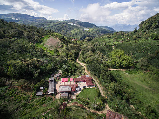 istock Colombian coffee farm and rural area 619399490