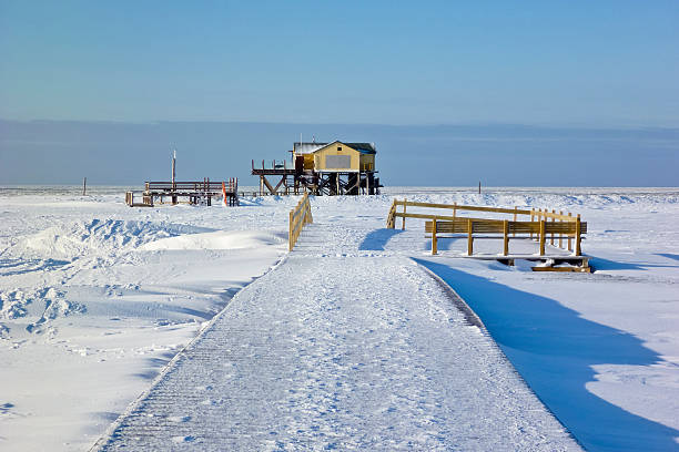 istock Beach of St. Peter-Ording in winter 619400618