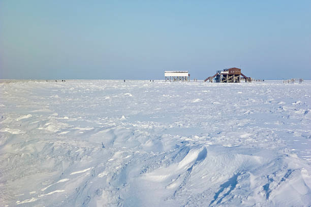 istock Beach of St. Peter-Ording in winter 619400692