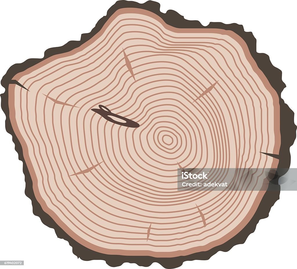 Tree Slicer Example Tree Slices Vector Isolated Stock Illustration - Download Image Now ...