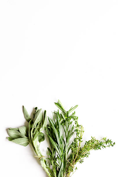 istock sage, rosemary, thyme - tufts of herbs white background 619402628