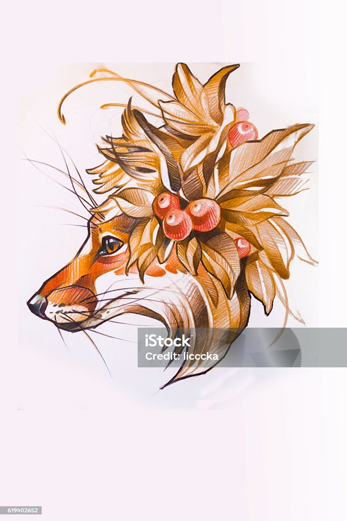 head of a Fox drawn in pencil on paper head of a Fox drawn in pencil on white paper Backgrounds Stock Photo