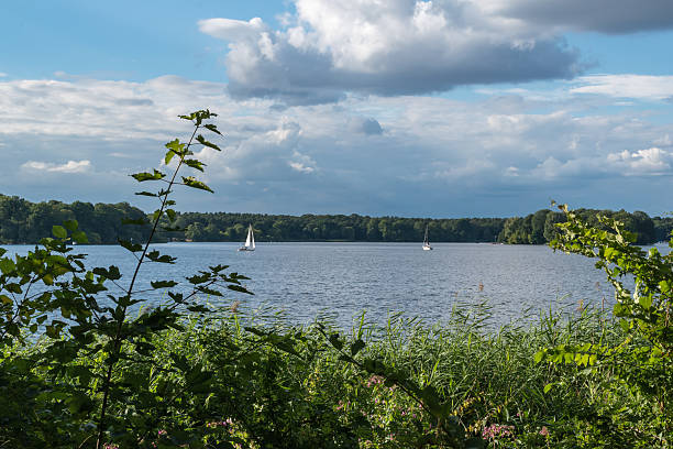 istock Sailing boats on a lake by the forest 619402898