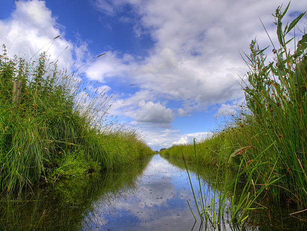 Typical dutch ditch Freshwater ditch in dutch polder landscape ditch stock pictures, royalty-free photos & images