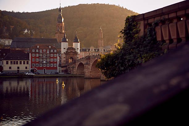 istock Autumn in Heidelberg in Germany 619404662