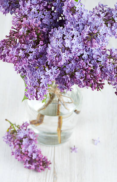 istock beautiful lilac on white wooden surface 619405024