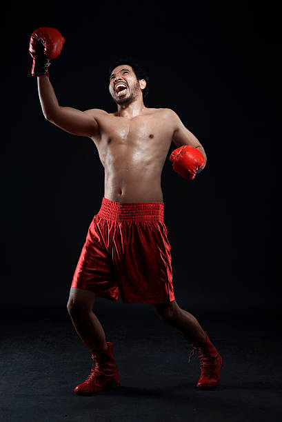 istock Asian boxer celebrating a win with boxing gloves 619407580