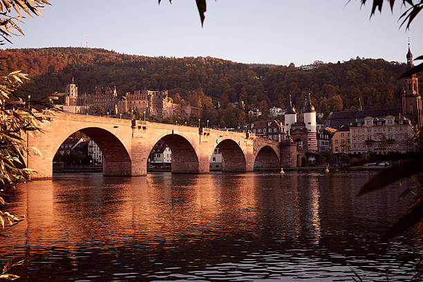 istock Heidelberg Germany with castle and bridge Karl-Theodor 619409690