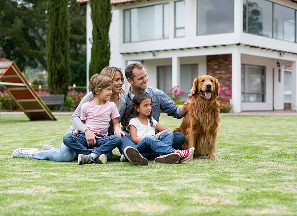 istock Family at the park playing with their dog 619410882