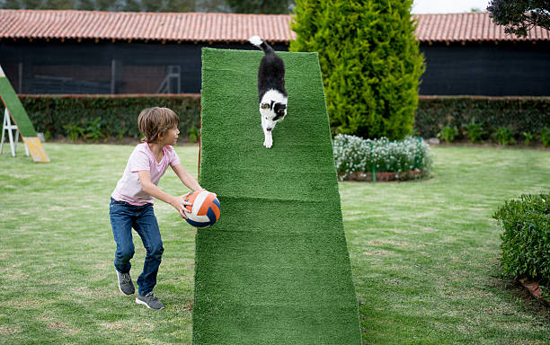 Young dog trainer at an obstacle course
