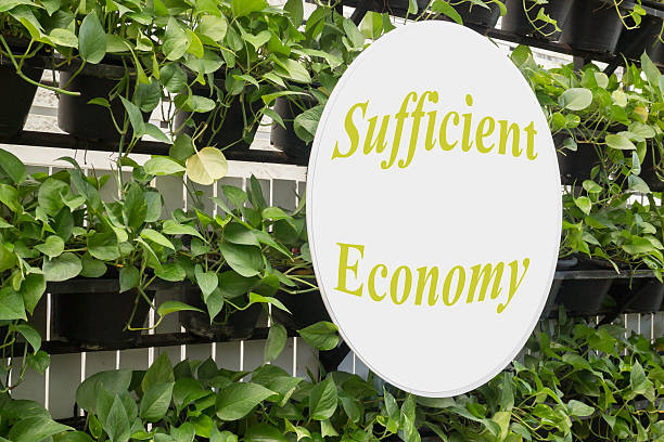 istock Exterior vertical green leaves garden 619411058
