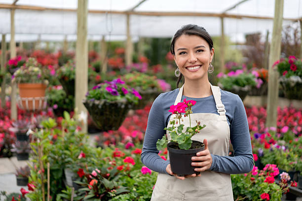 istock Woman working at a greenhouse 619411736