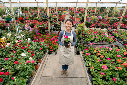 Happy woman working at a greenhouse selling flowers and looking at the camera smiling