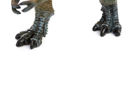 feet of tyrannosaurus toy on white background
