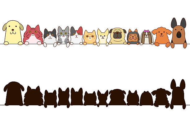ilustrações, clipart, desenhos animados e ícones de gatos e cães conjunto fronteira com silhueta - shih tzu cute animal canine