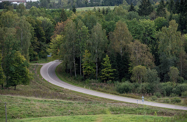 istock Empty Road in Lithunia with Green Tree and Forest. Nature. 619501364