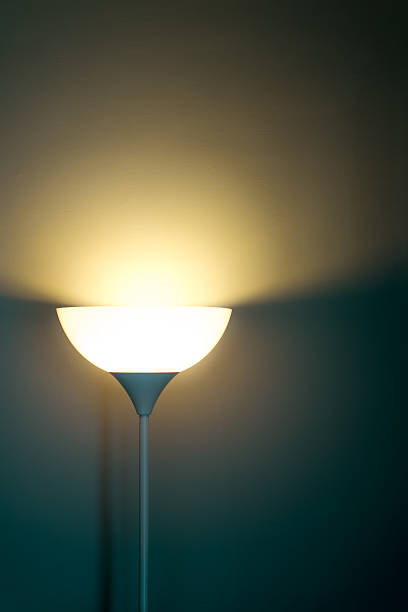 istock Light lamp growing in the room 619501492