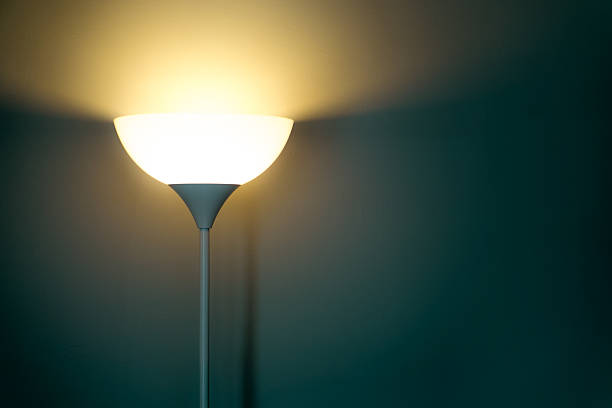 istock Light lamp growing in the room 619501554