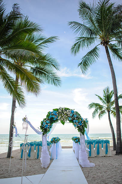 wedding backdrop on the beach. thailand - formal garden tropical climate park plant imagens e fotografias de stock