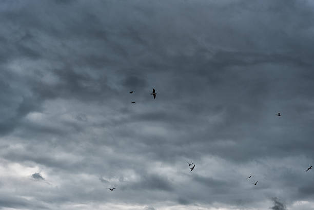 istock Stormy and Cloudy Baltic Sea. Latvia. Background 619504636
