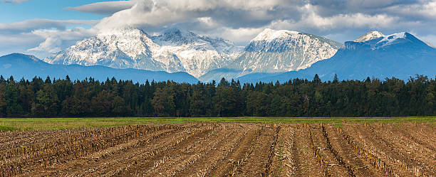 Mountain range, Slovenia Mountain range, Slovenia krvavec stock pictures, royalty-free photos & images