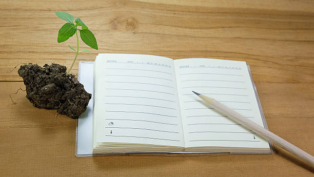 istock Seedlings notebook and pencil on wood floors. 619510406