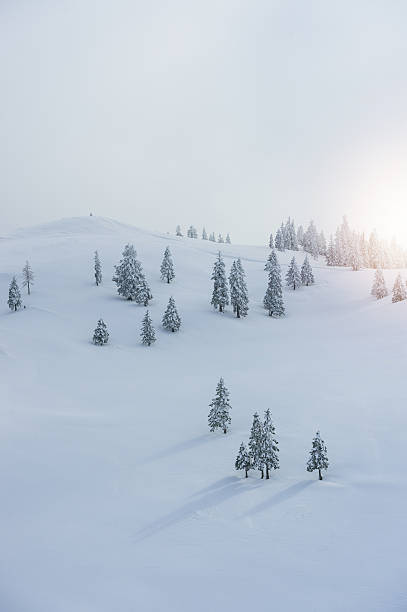 istock Foggy Winter Morning 619513414
