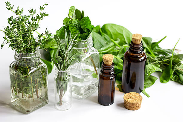 istock mint, sage, rosemary, thyme - aromatherapy white background 619515606