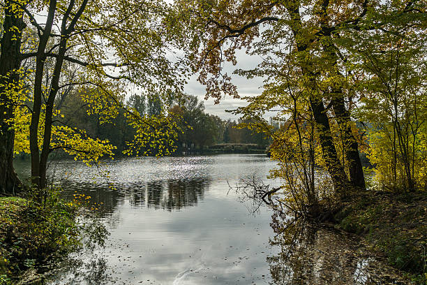istock lake in the forest in autumn 619515802