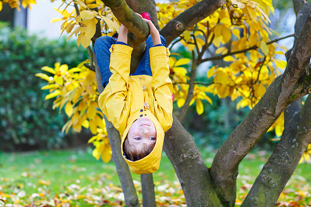 istock little kid boy in colorful clothes enjoying climbing on tree 619519784