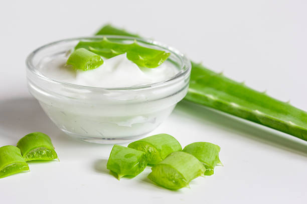 istock aloe vera - leaves and cream isolated on white background 619521990
