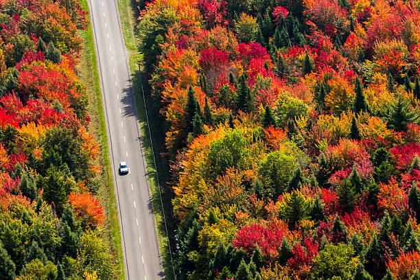 istock Traveling North America 619522248