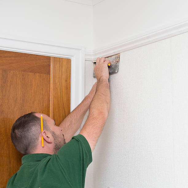 istock Decorator wallpapering a wall with wallpaper 619522930