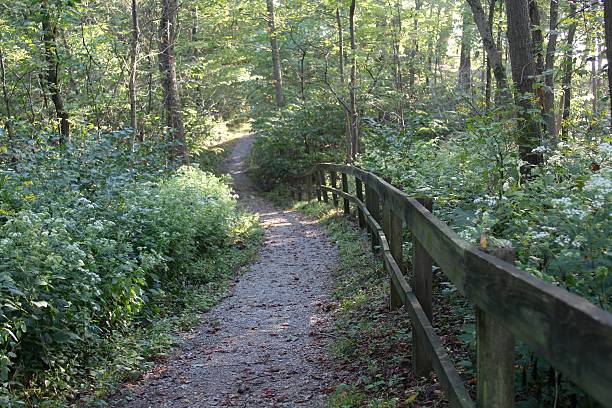 istock Trail next to a Fence 619524294