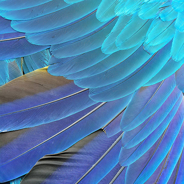 istock Exotic blue background texture capture from blue and gold ma 619526612