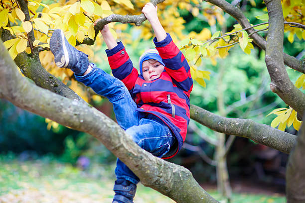 istock little kid boy in colorful clothes enjoying climbing on tree 619527100