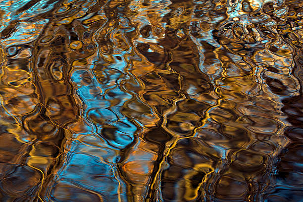 odbicie drzewo na powierzchni wody - flowing water ripple day plant zdjęcia i obrazy z banku zdjęć