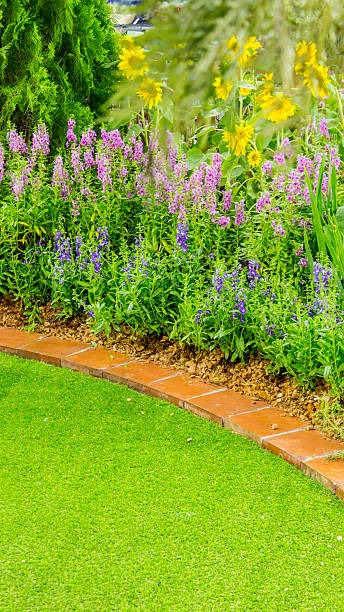 istock Flowers in the garden. 619529616