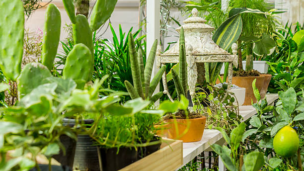 Relaxing area in cozy garden.