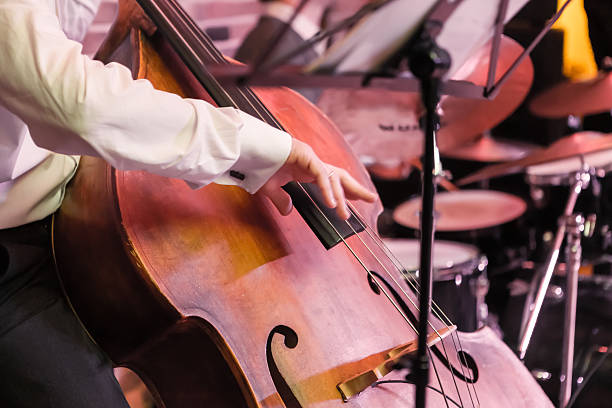 hands and contrabass Man playing an acoustic contrabass in concert bass guitar stock pictures, royalty-free photos & images