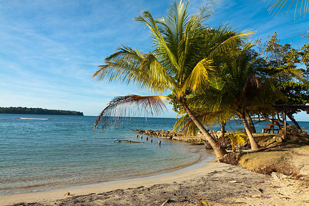 istock Panoramic view of Boca del toro beach 619533952