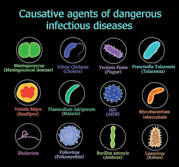 Causative agents of infections Causative agents of dangerous infectious diseases on a black background tularemia stock illustrations