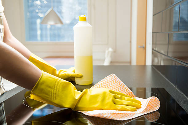istock Cleaning and polish electric cooker 619536454