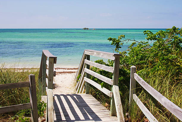 istock Wooden stair to the beach 619536836