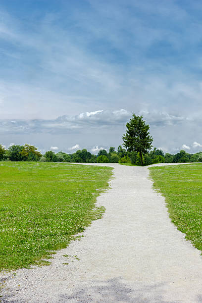 istock White path in a park leading in to the distance 619536852