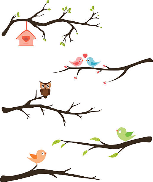 Branches with birds vector Branches with birds vector for invitation, cards, party kids... branch stock illustrations