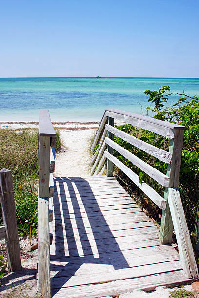istock Wooden stair to the beach 619537158