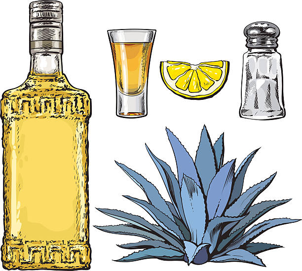 illustrazioni stock, clip art, cartoni animati e icone di tendenza di set di bottiglia di tequila, colpo, salatoio, agave e calce - silhouette vodka bottle glass