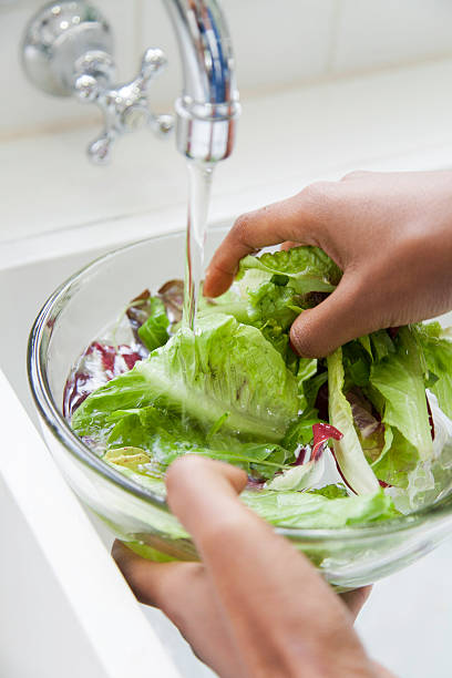 istock African female rinsing lettuce. 619540932